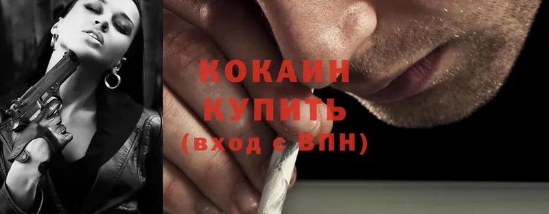 закладки  Звенигово  Cocaine Эквадор 